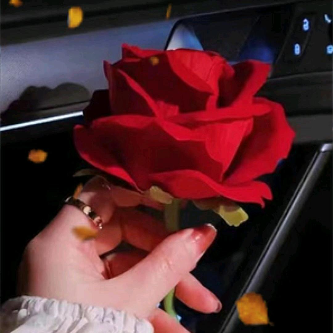 🌹幸胡一生🌹