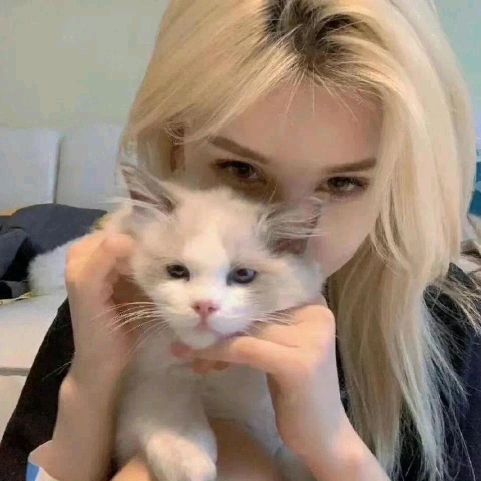 浅夏が忆昔头像