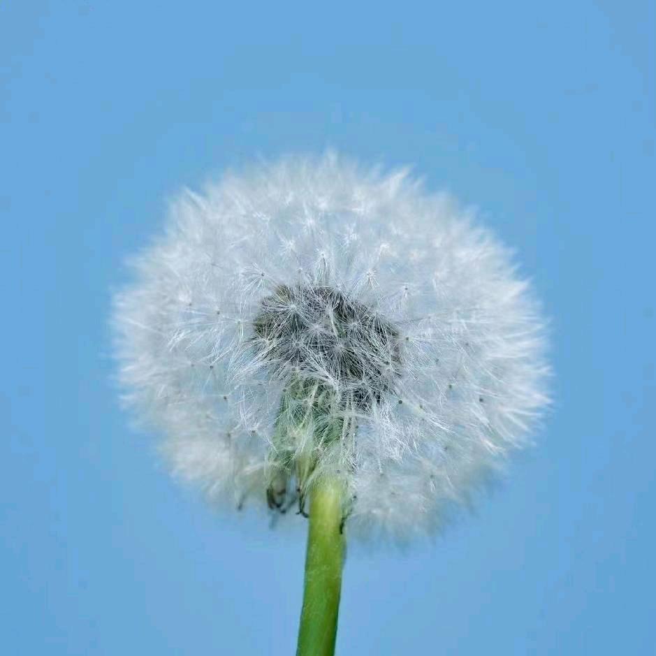 顺其自然♛