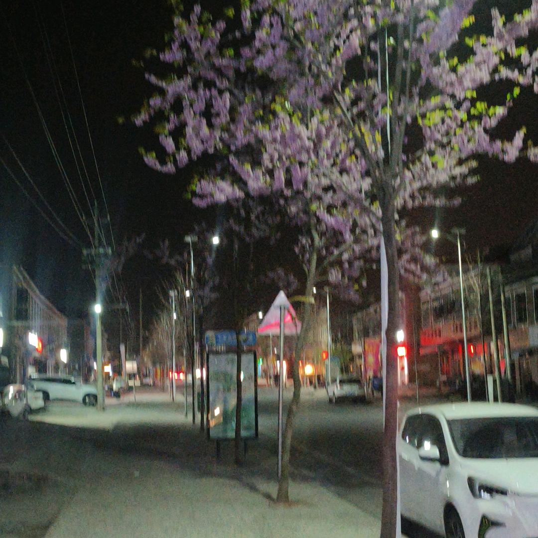 山中虎
