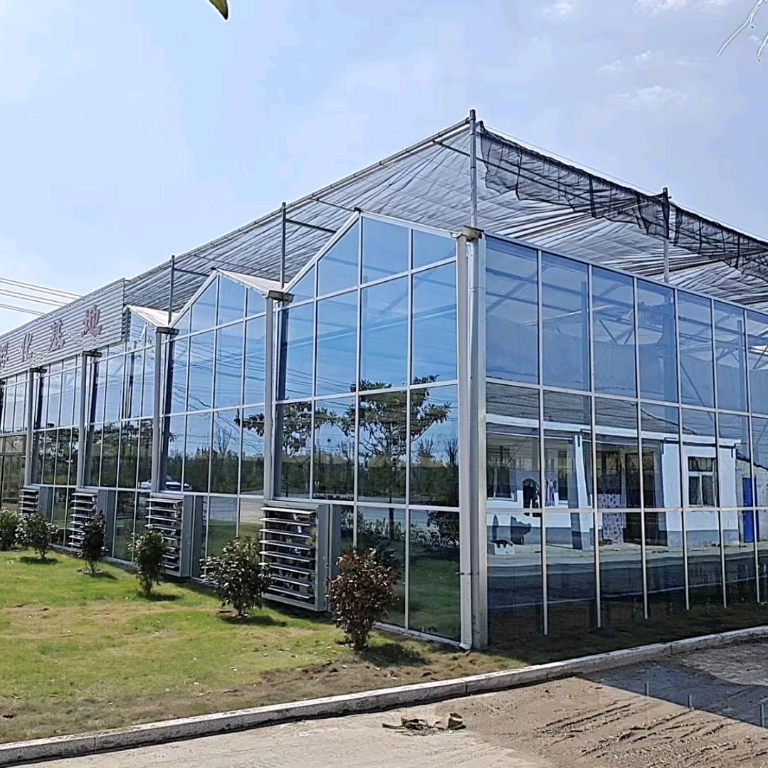 温室大棚源头厂家