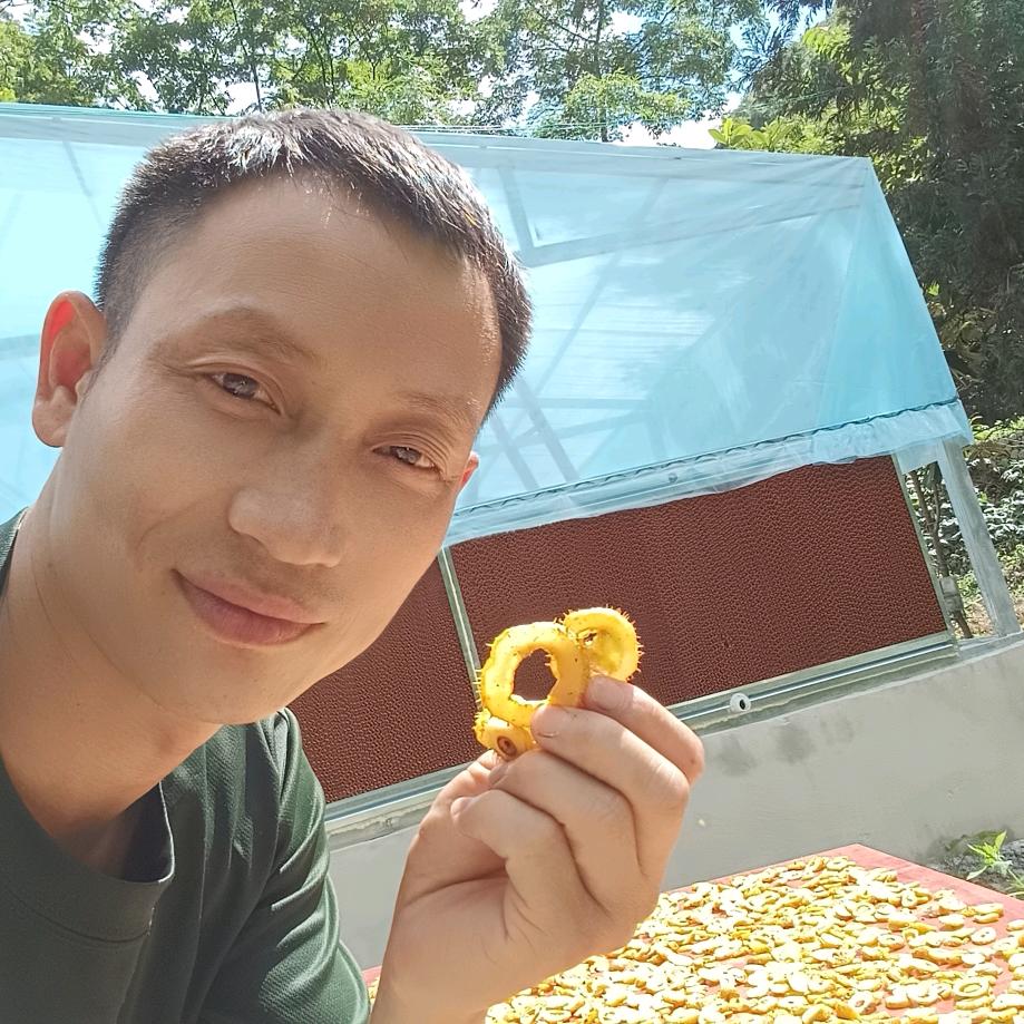 药茶守护者阿郎哥