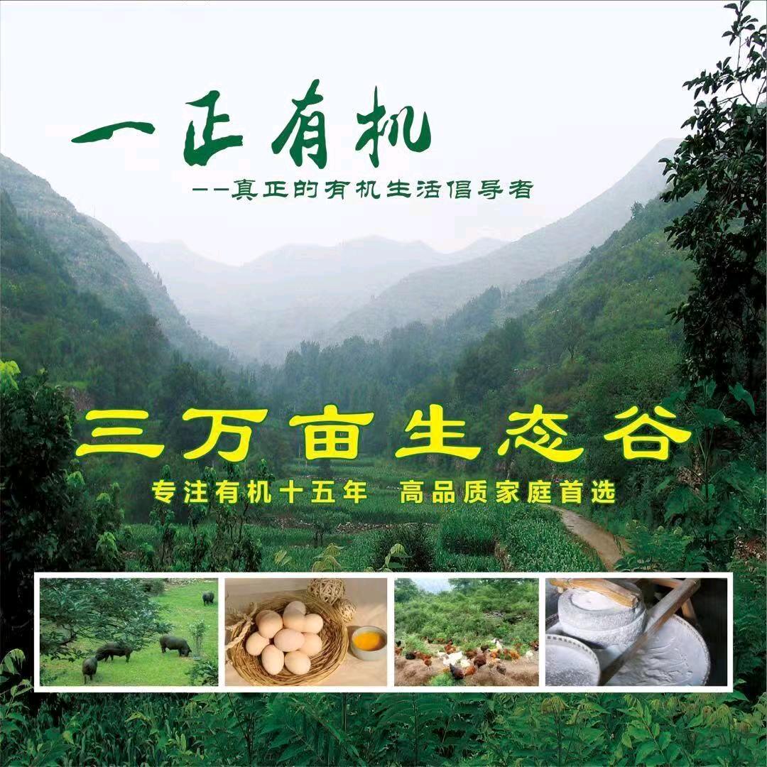 有机食品一正基地李永军