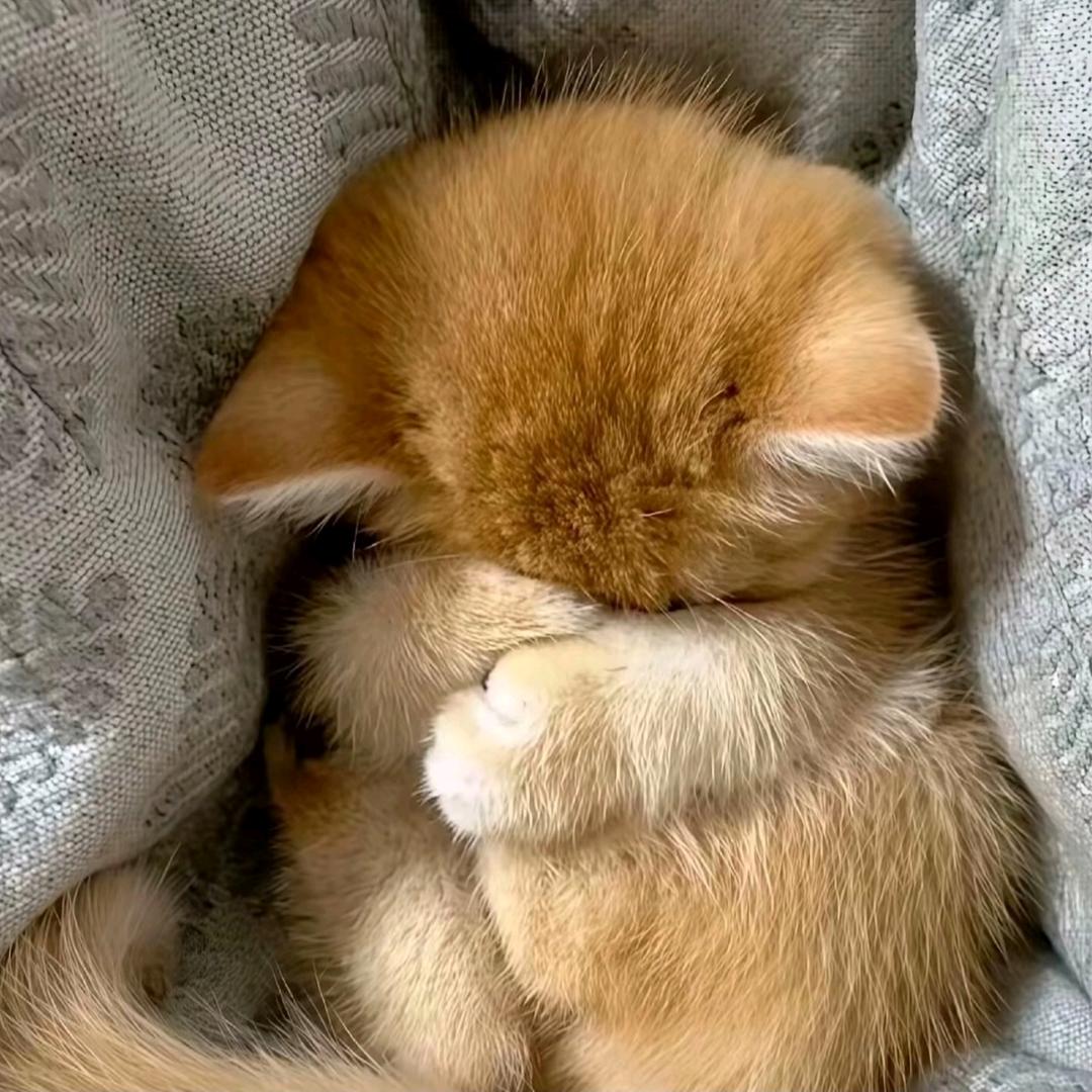 归琳^O^
