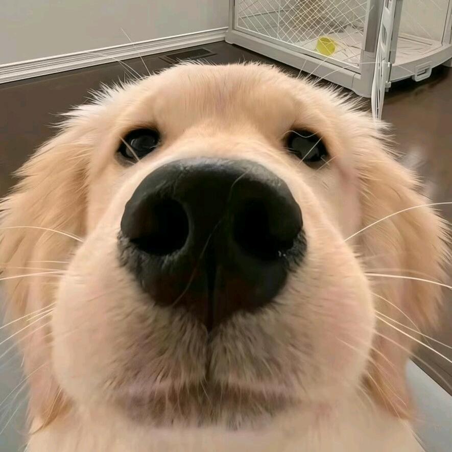 不要乱改我的名字