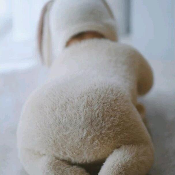 衍.