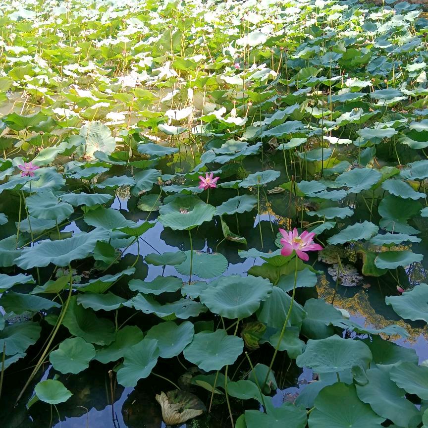 与我同行走向未来