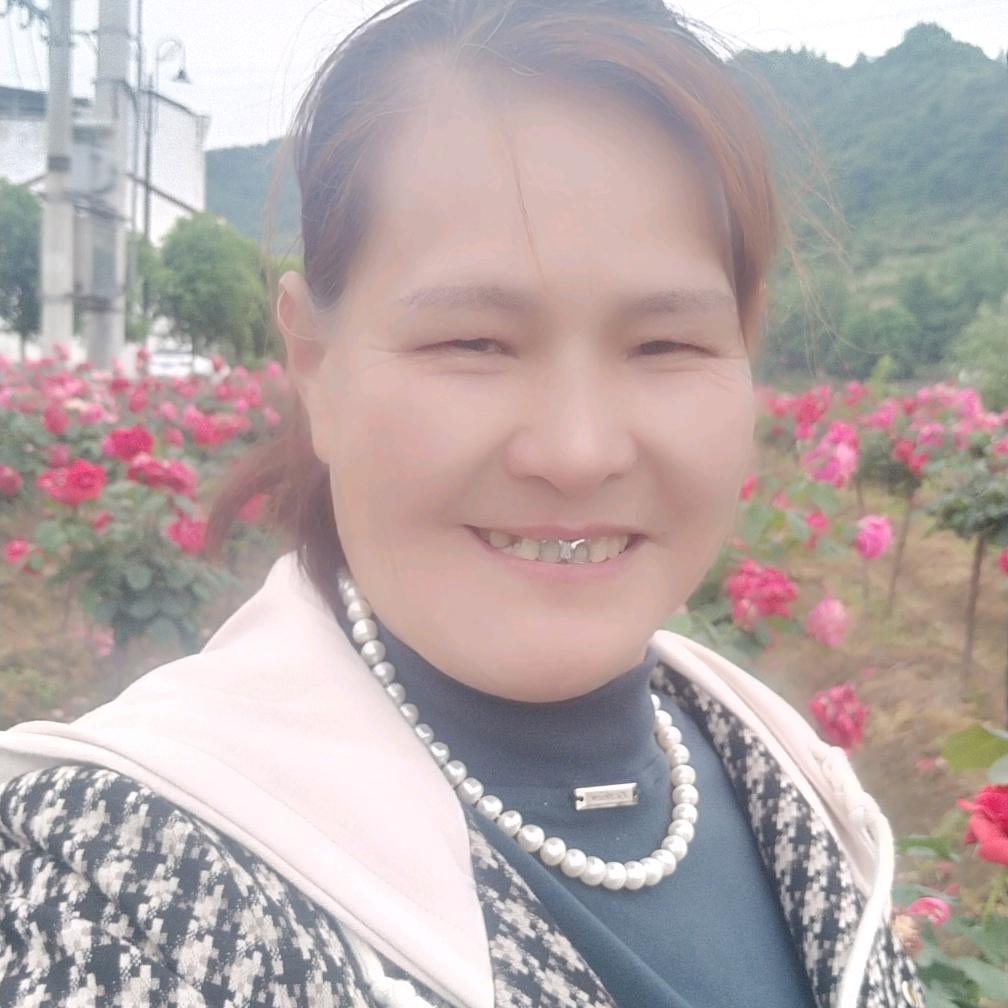 四季平安