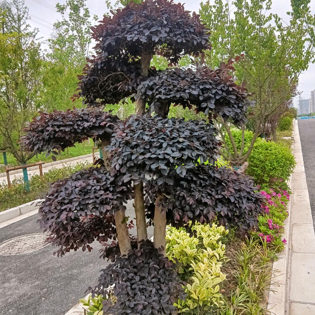 幸福来敲门