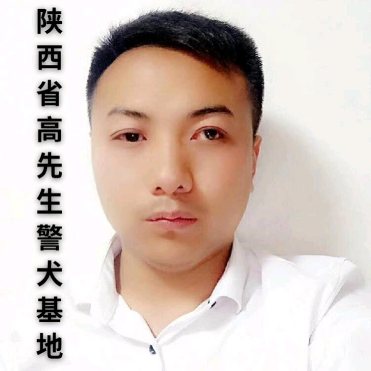 陕西省高先生警犬基地