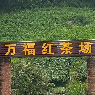 讲壮话，家人
