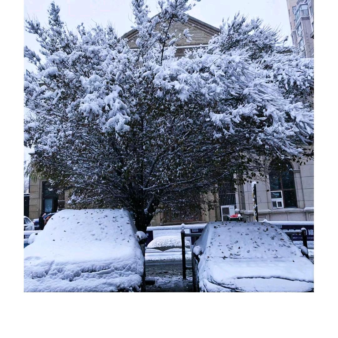 @简单就是个性#