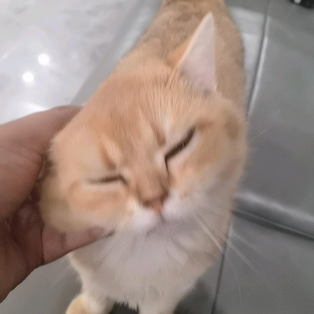 周迷