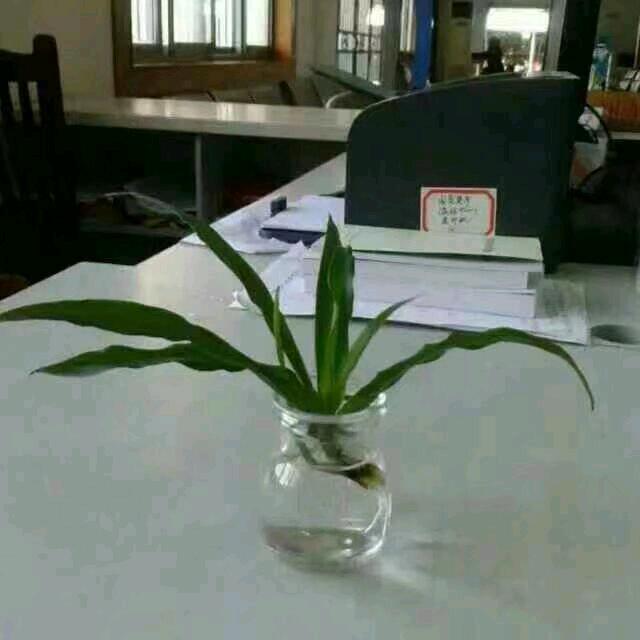 花生米
