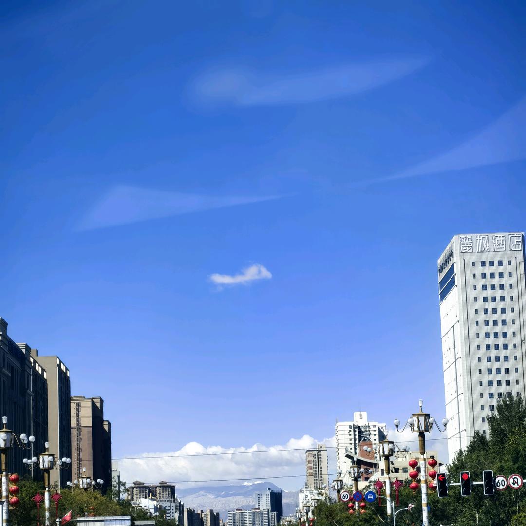 龙