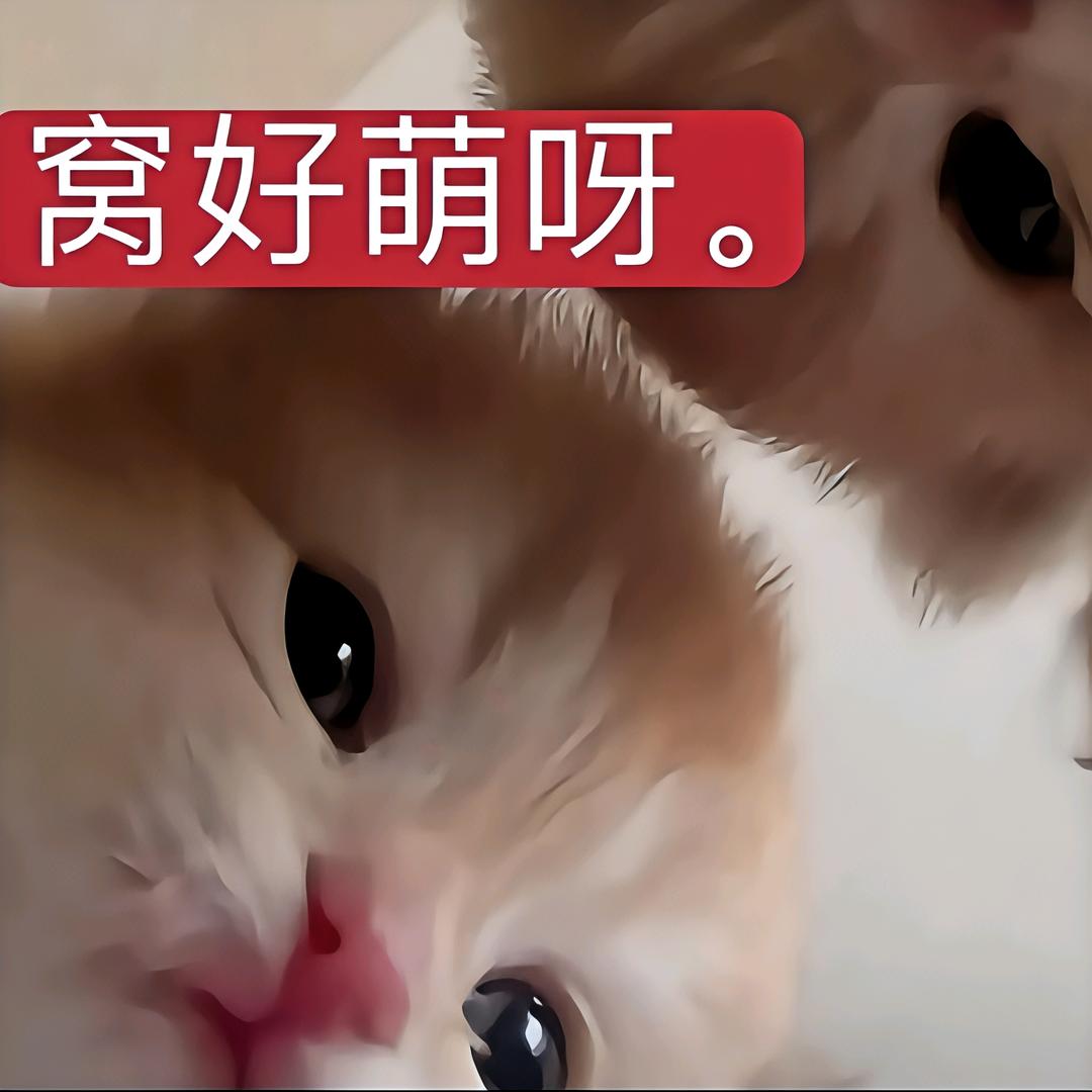 转运