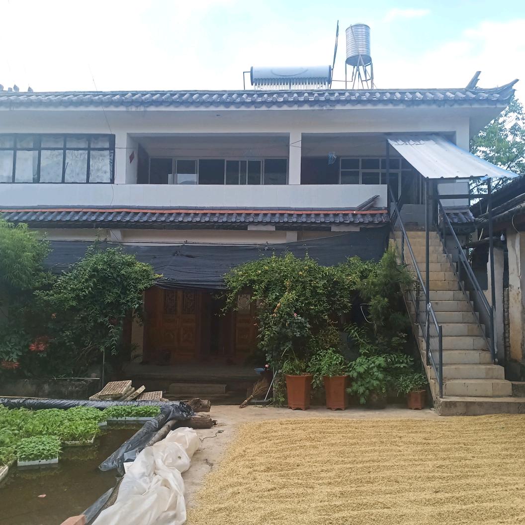 独霸野狼