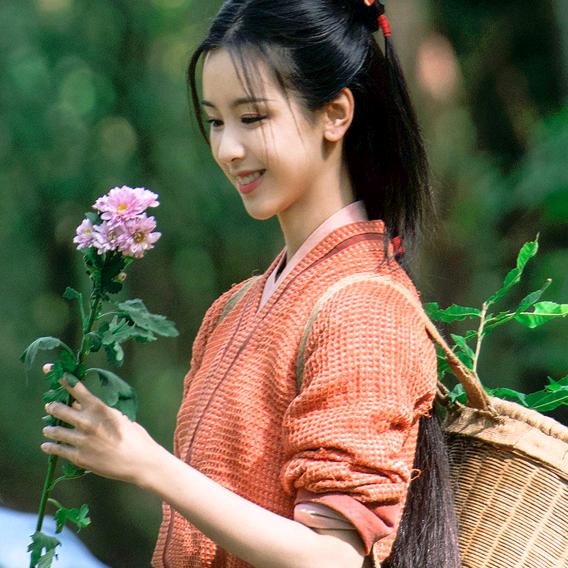 青春是一首歌