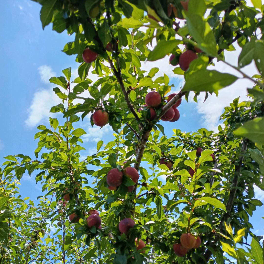 怀着冷却了的心窝漂远方