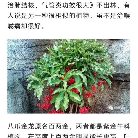 笑对人生