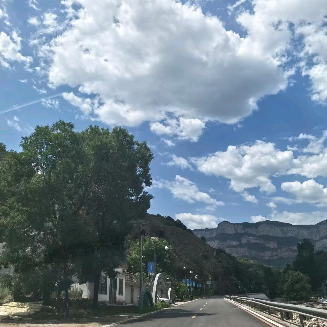 北方的狼〈734少爷〉