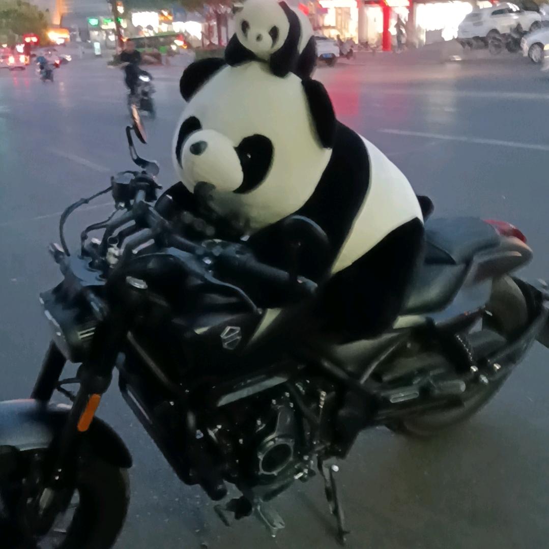静心