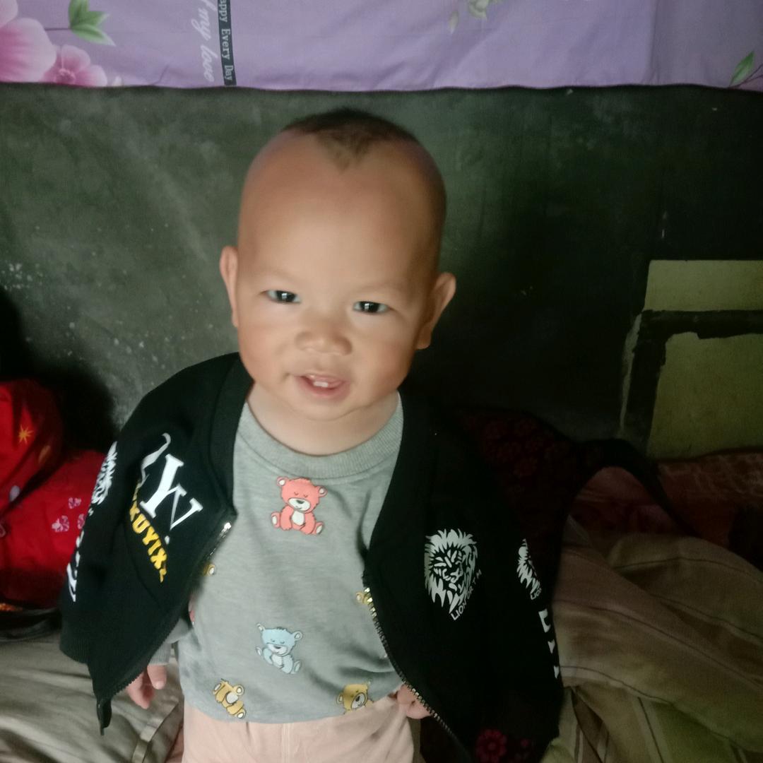 本人己改行网名叫做乱球扯很搞笑的啊种