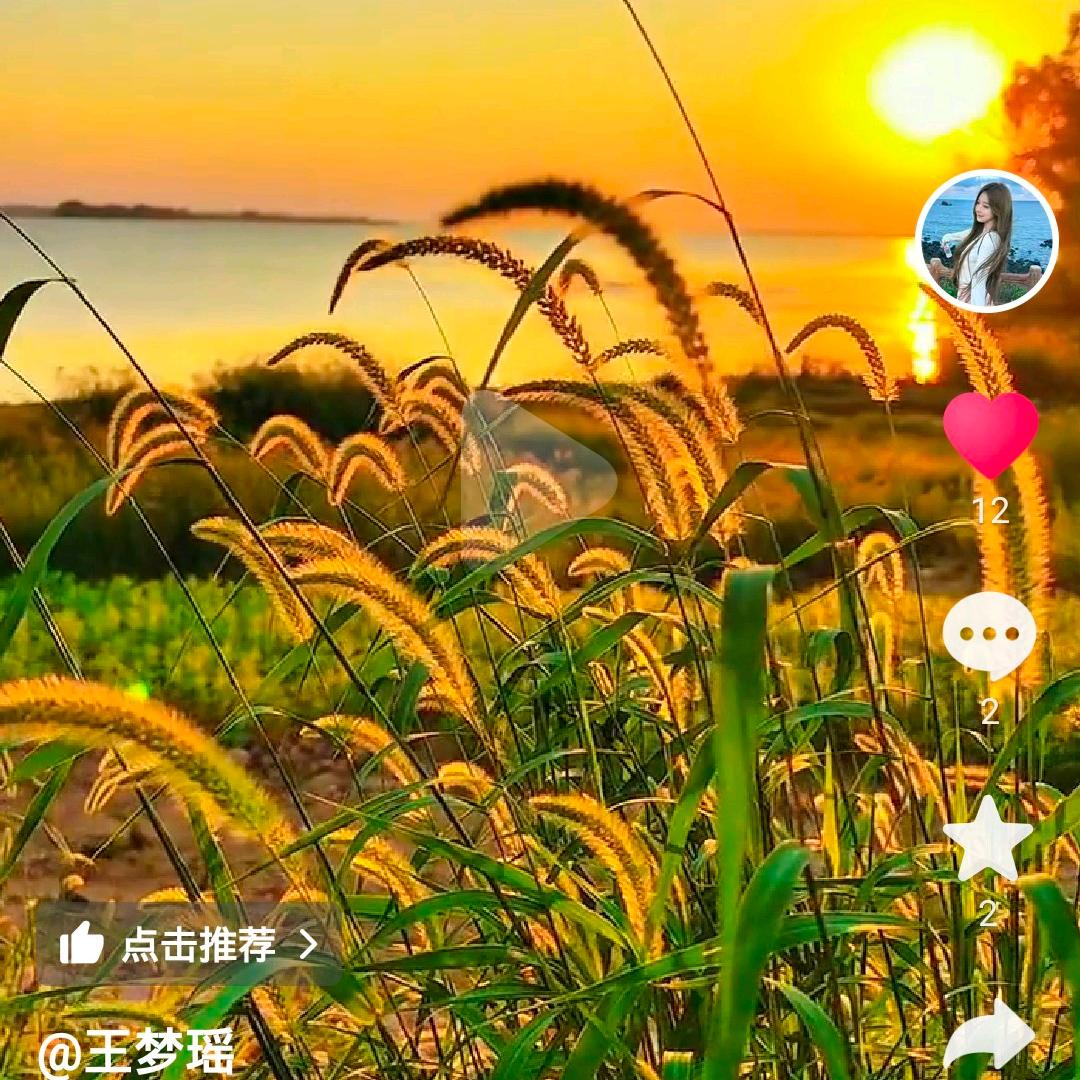 ✨星辰大海