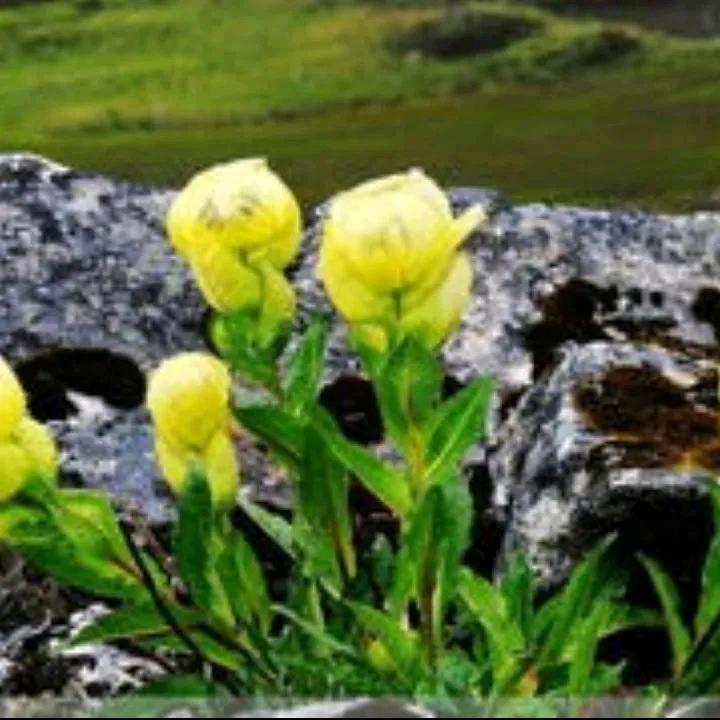 💞一路💞幸福💞