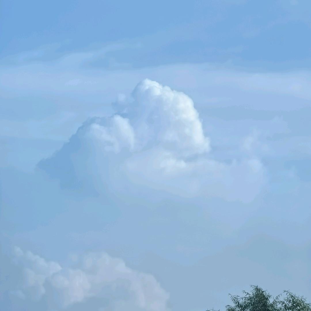 丫头