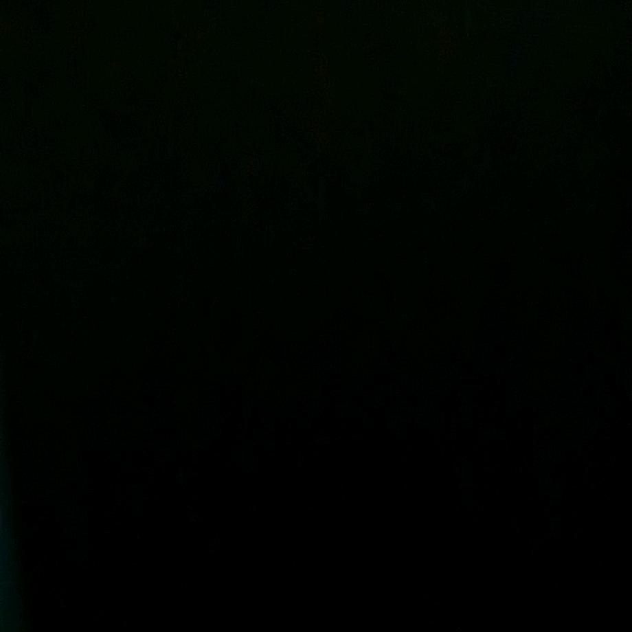 P.