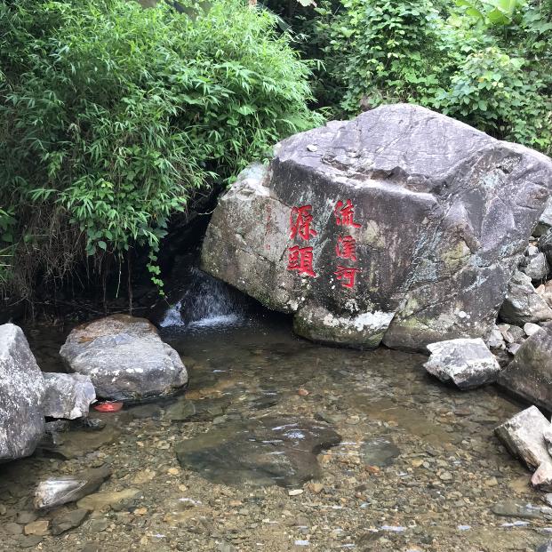 绿沣源
