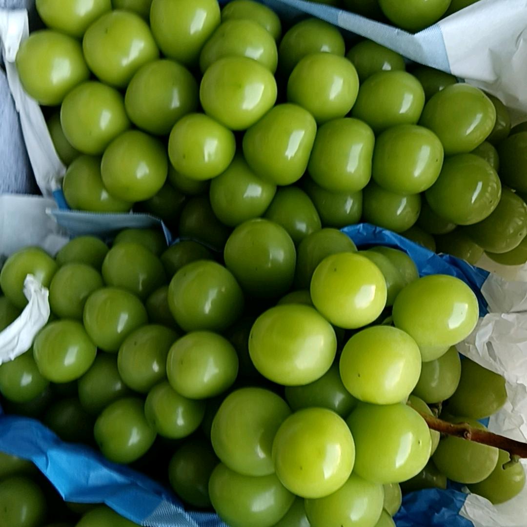 小邓，水果批发