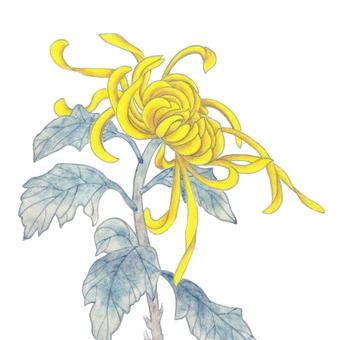 菊华园