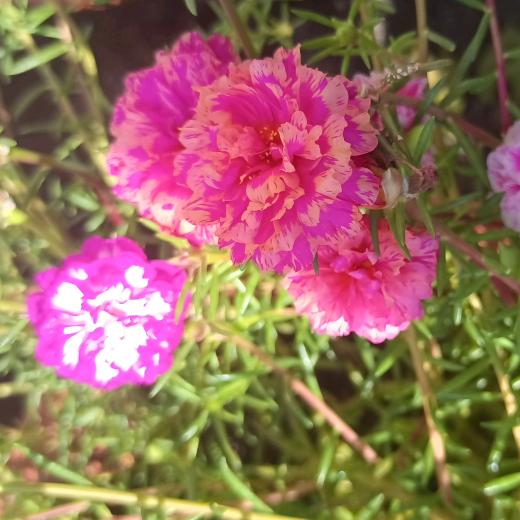 余生无恙（橱窗🈶好物分享）