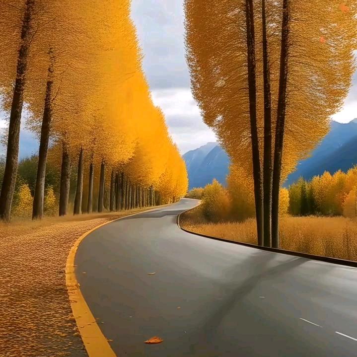 好运连连🍷🍒🍒🍒🍒🍒