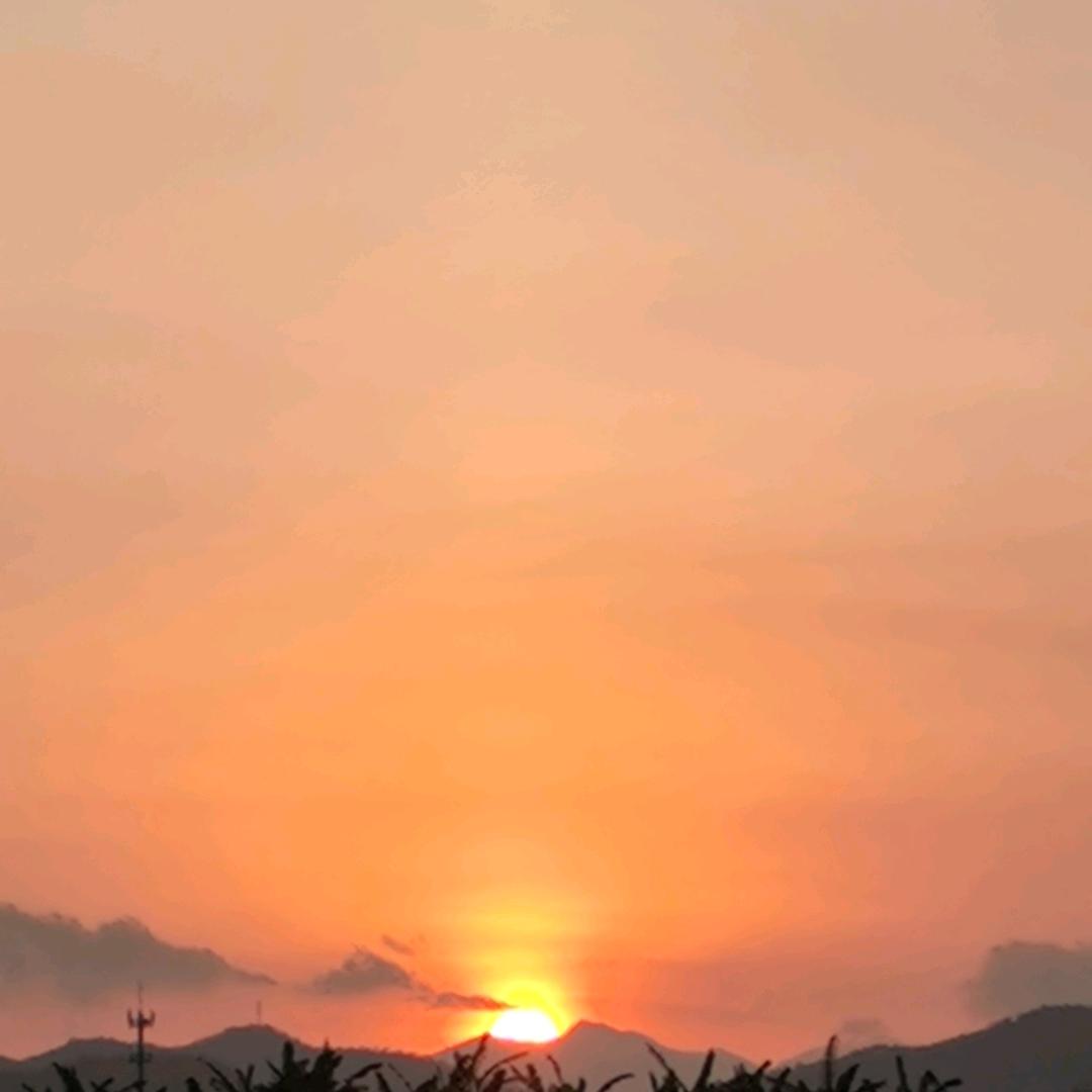 因果