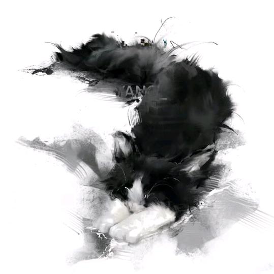 悲伤的驴