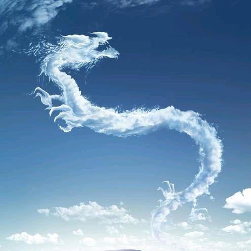 迟来的爱❤️