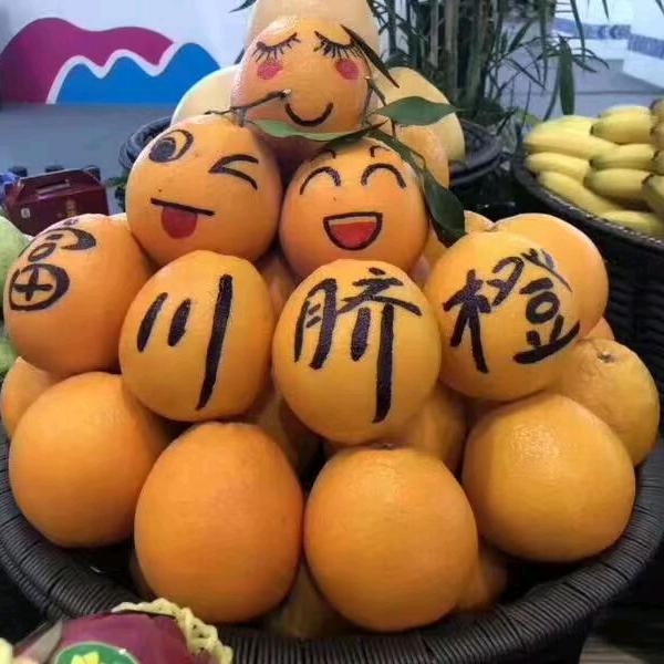老头有低保😋