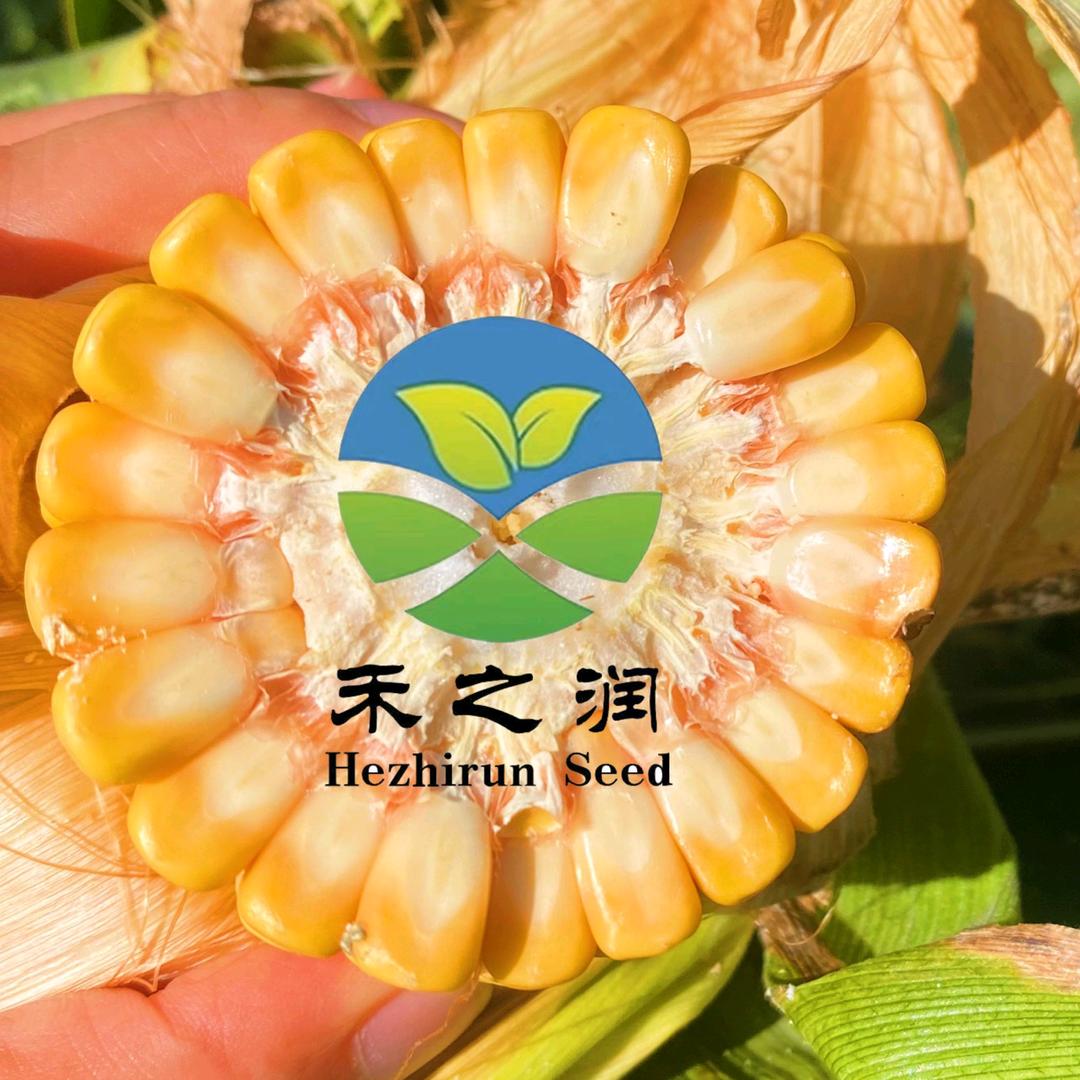 禾之润优选农资🌽🌽