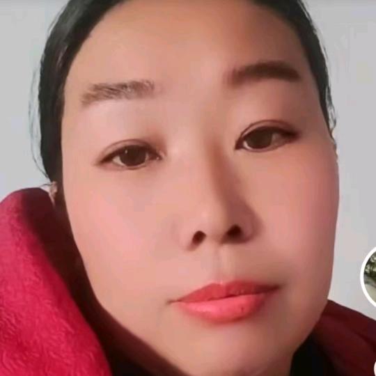 龙凤呈祥