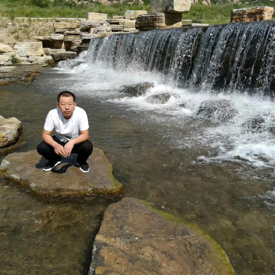 黄河大鲤鱼