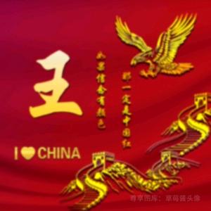 光头🦁