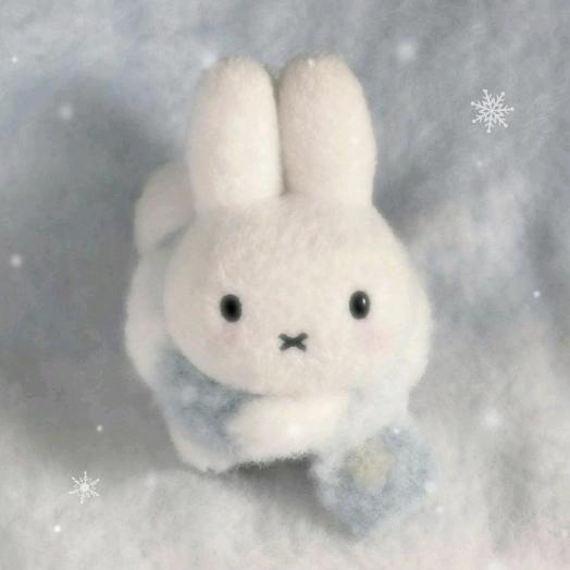 情初礼书（互赞）