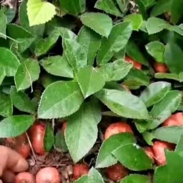 今生陪你一起走