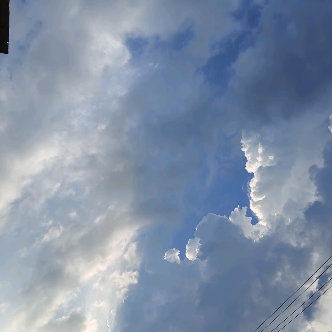 青青
