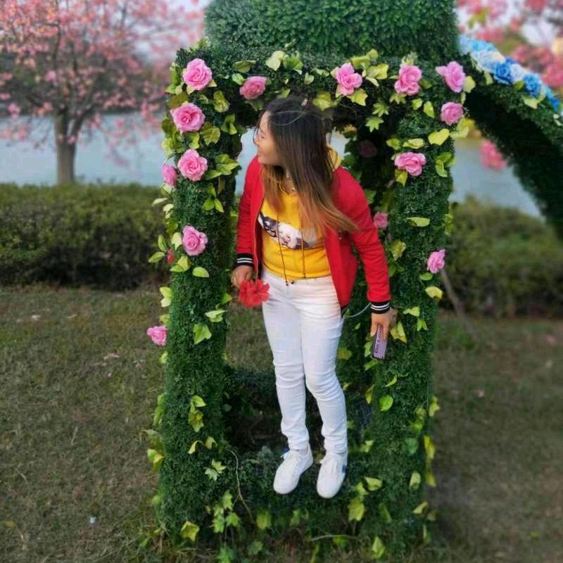 🍎总有一天会幸福🍎