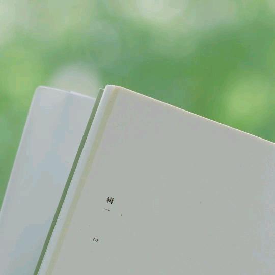 抓叭