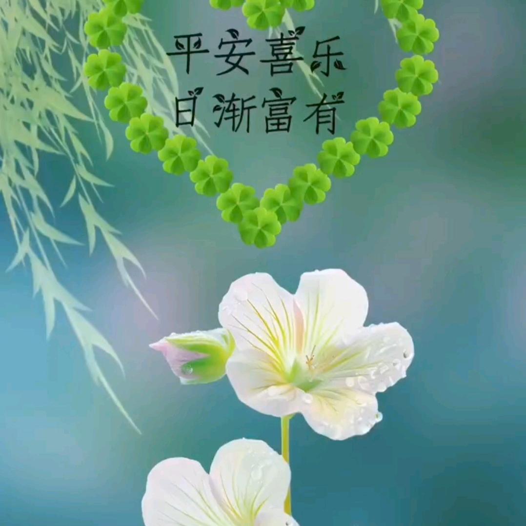 💞轻玉🌊良缘💜